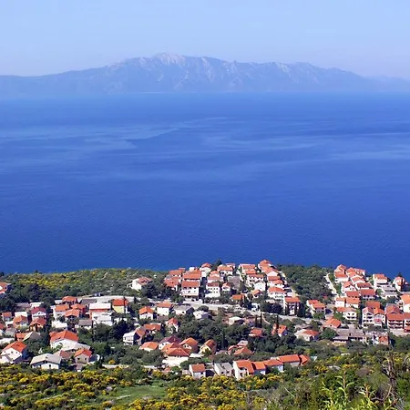 Double 2613c ポダツァ